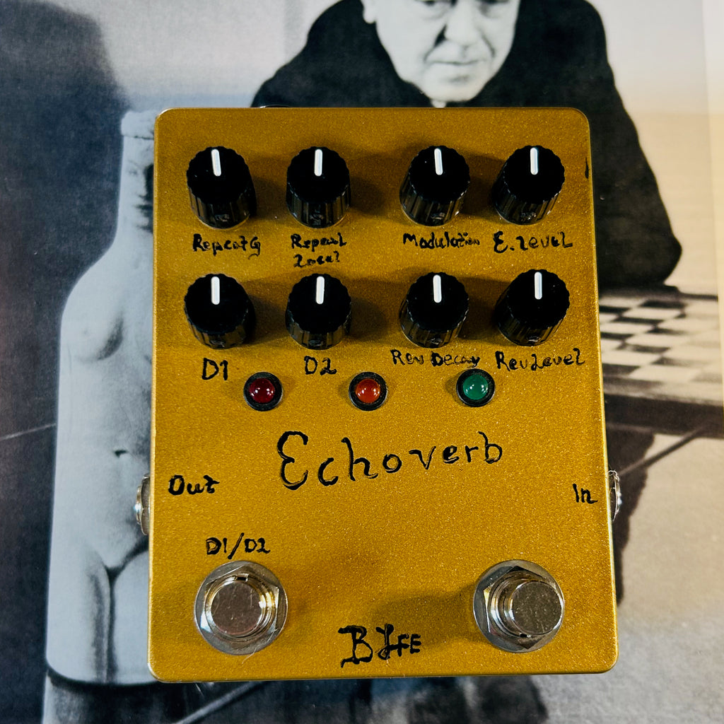 EchoVerb