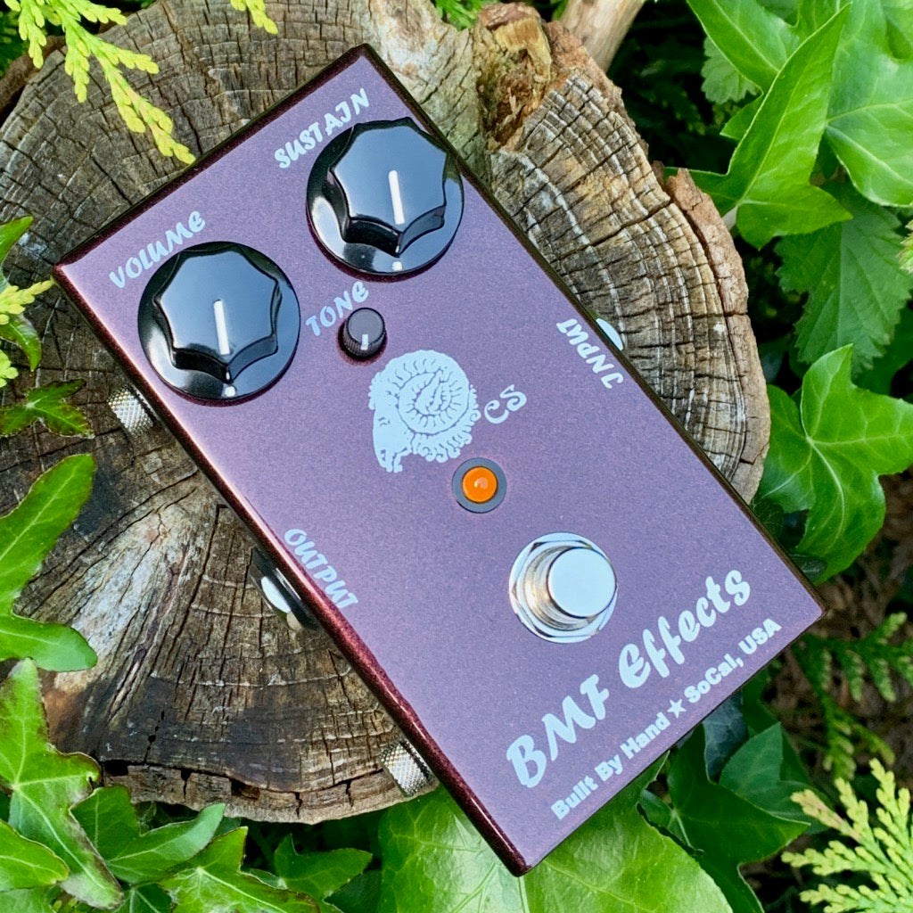 Aries Fuzz