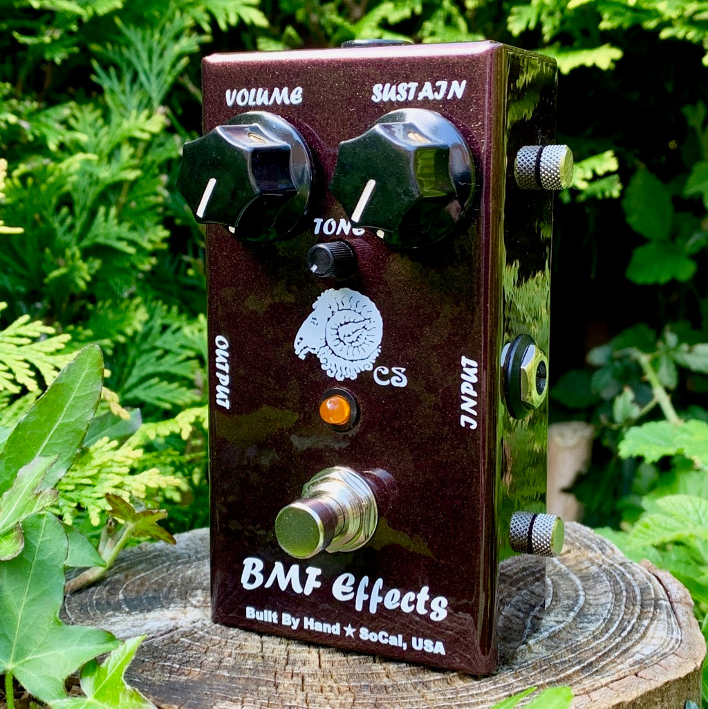 Aries Fuzz