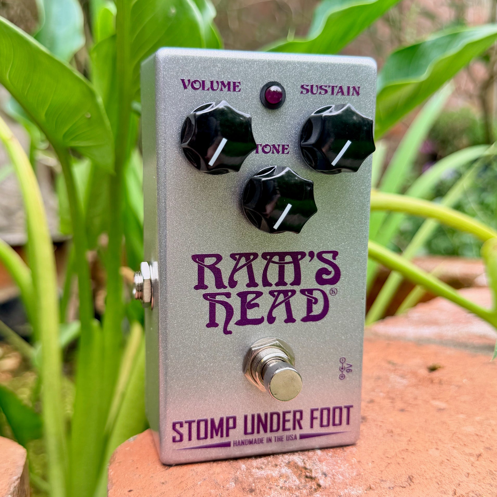 Ram's Head – Joe's Pedals