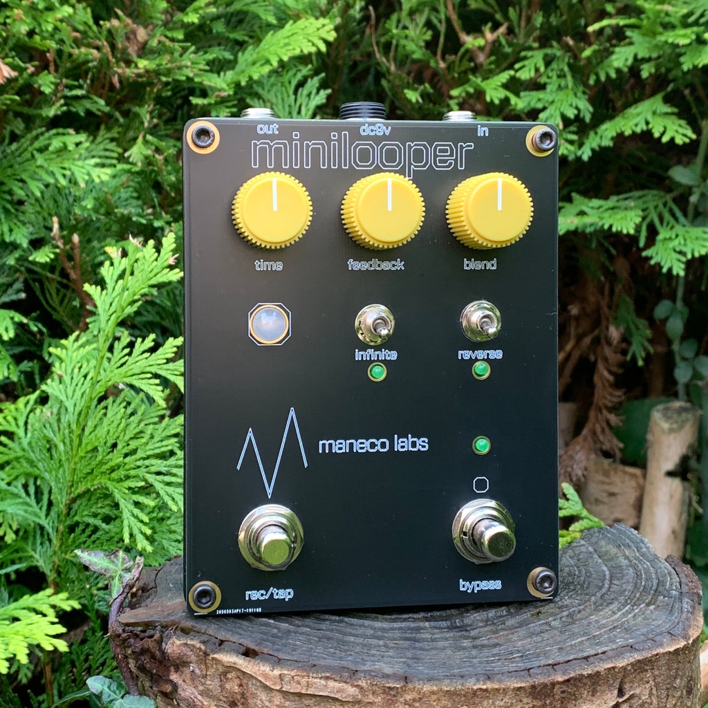 delay and looper pedal Digital Delay/Looper – Joe's Pedals